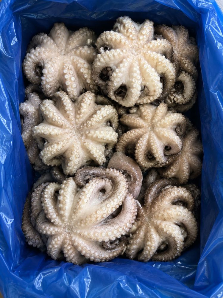 POLVO 300/500GR T8 FLOR INT. E/I MADAGASCAR CX:+-10KG