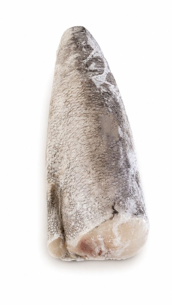 PESCADA Nº4 (800/1200gr) ENV. A.SUL - SeaHarvest